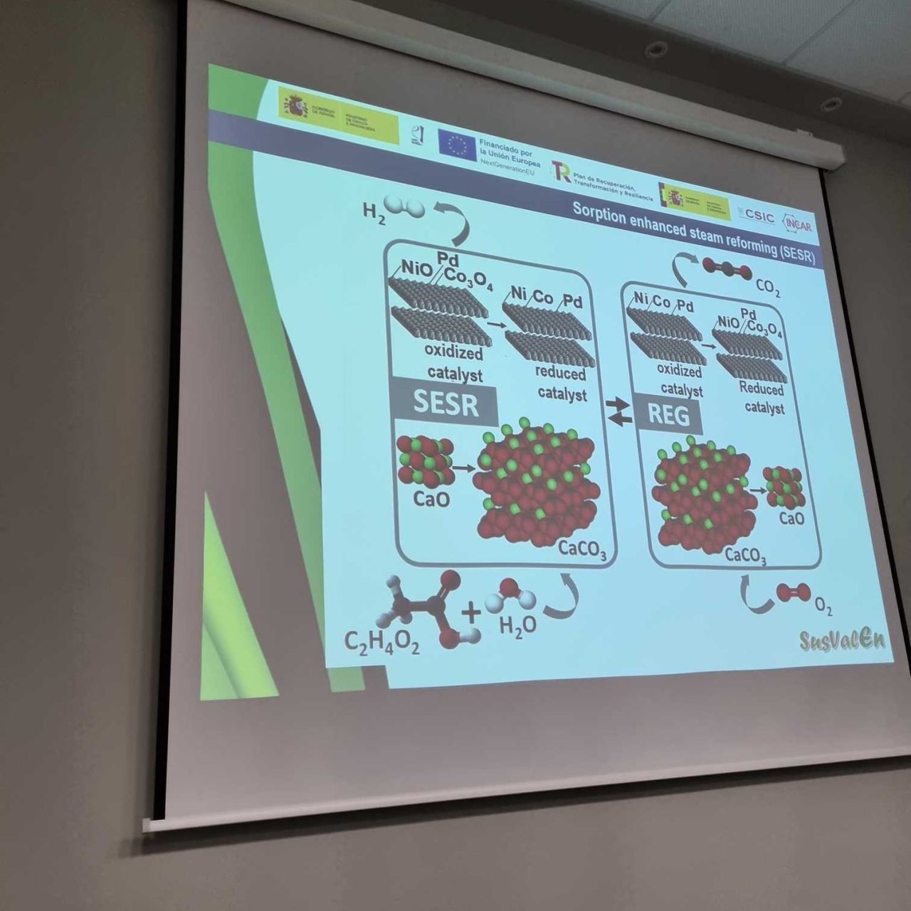 PROYECTO SUSVALEN: PRUEBAS DE SUSTRATOS EN PLANTA